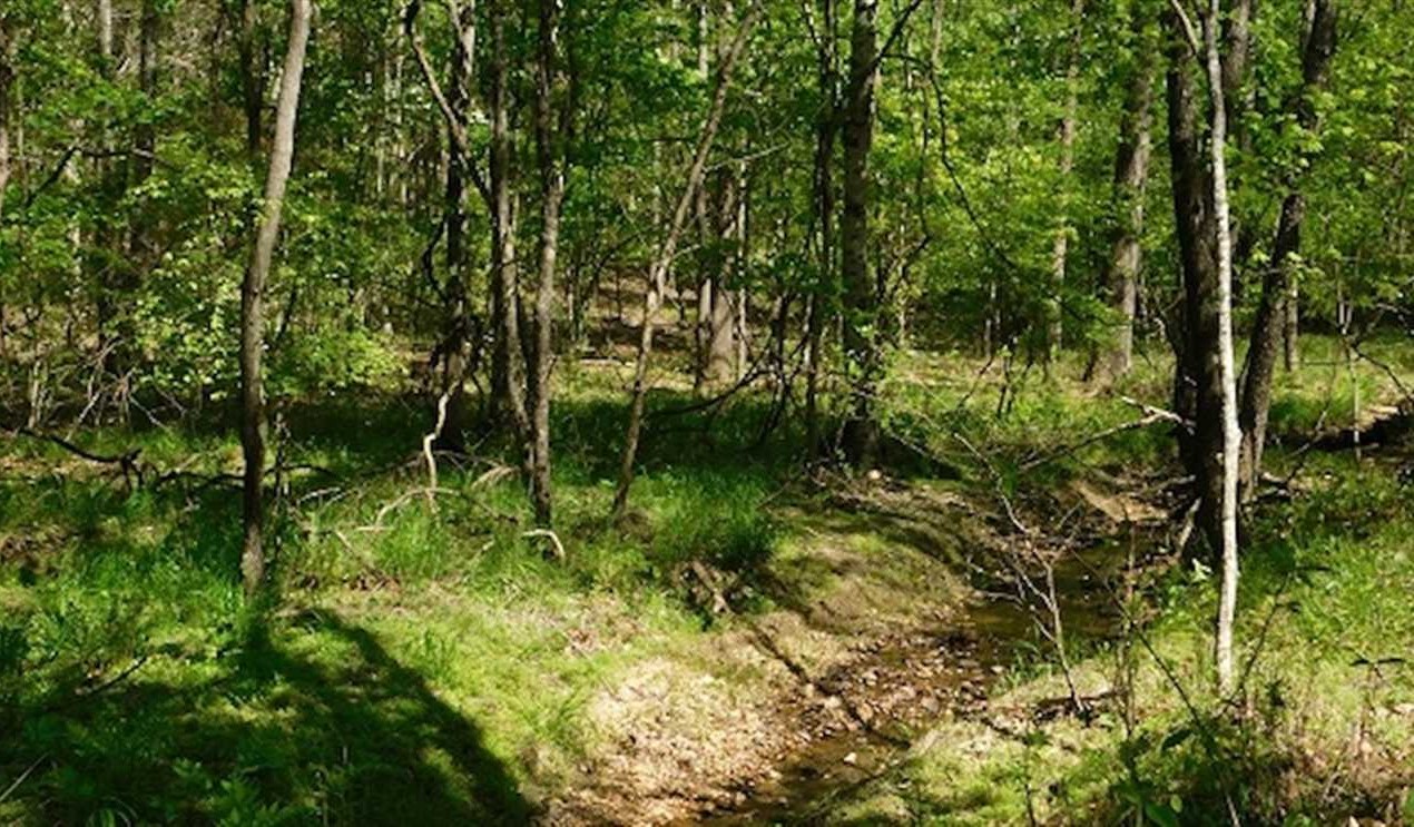 Land for sale to buy in 24112 zip code