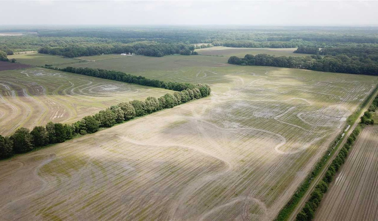 123.8 acres Farmland in Arkansas County, AR Real estate listing