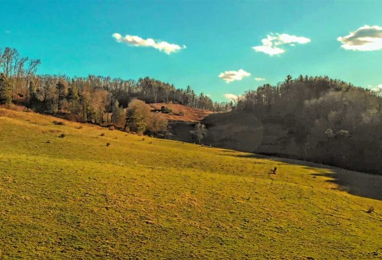 94 Acres of Land for Sale in yancey County North Carolina