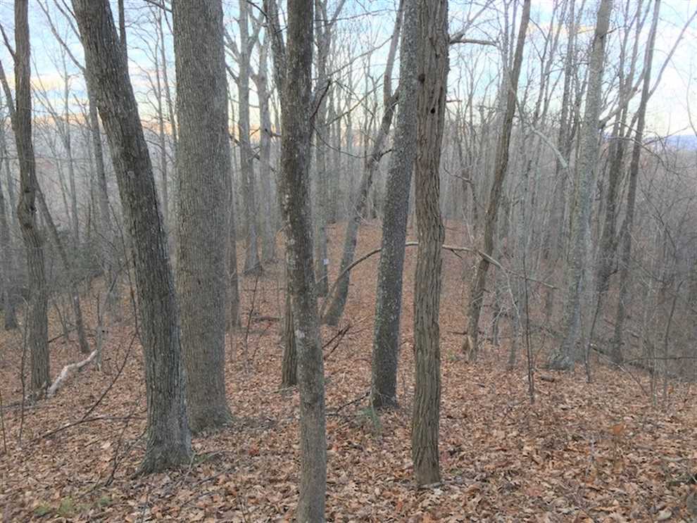 property for sale on The Land Market