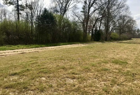 240 Acres of Land for Sale in claiborne County Mississippi