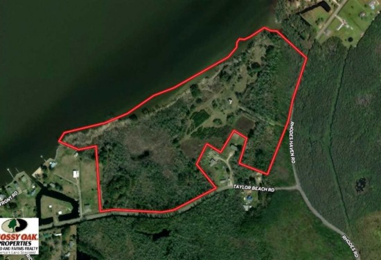 48.57 Acres of Land for Sale in tyrrell County North Carolina