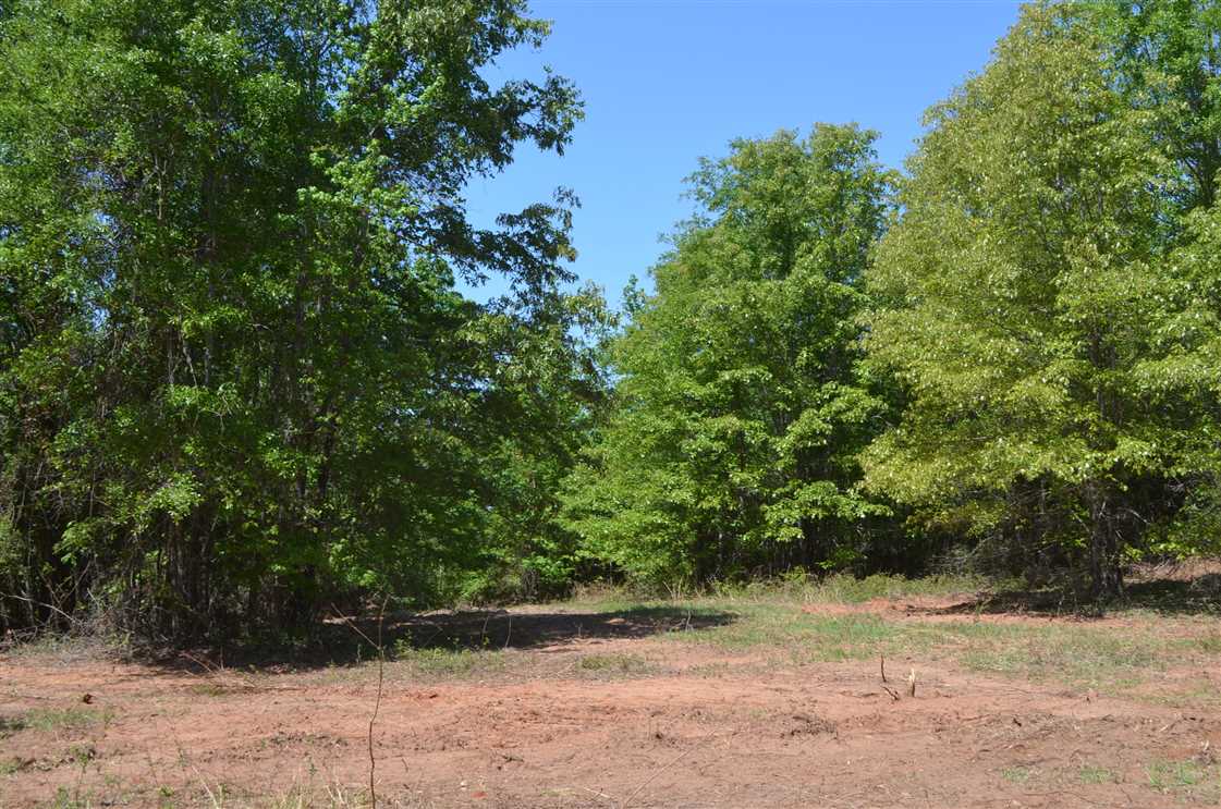 365 acres in Autauga Co near Prattville Real estate listing