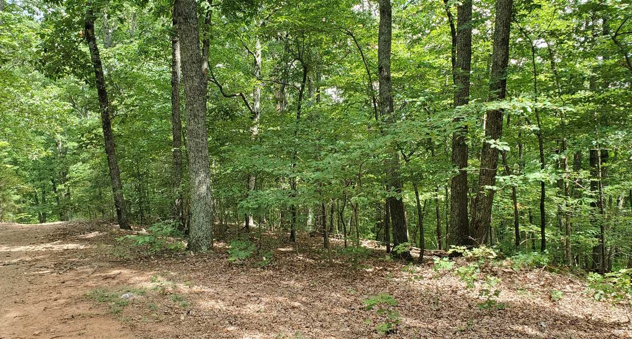 18.91+/- Acres in Bostic, Rutherford County Real estate listing