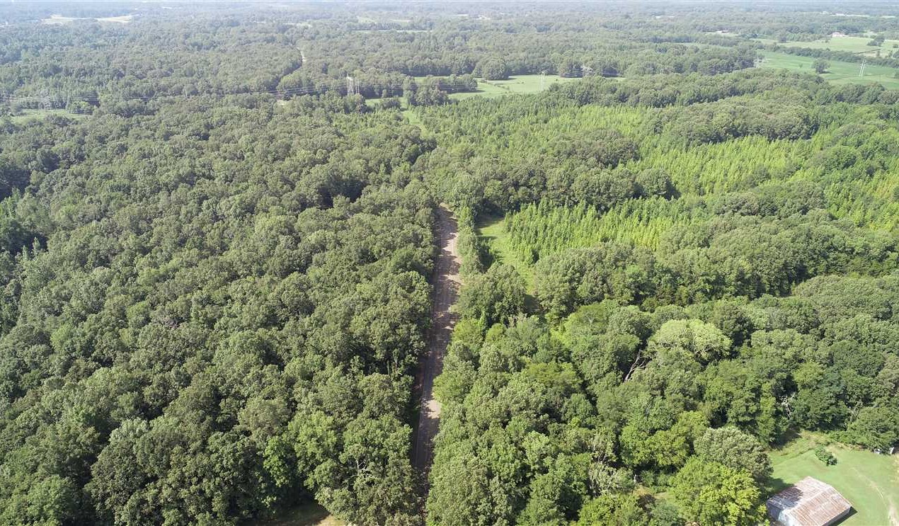 Land for sale at CR 683