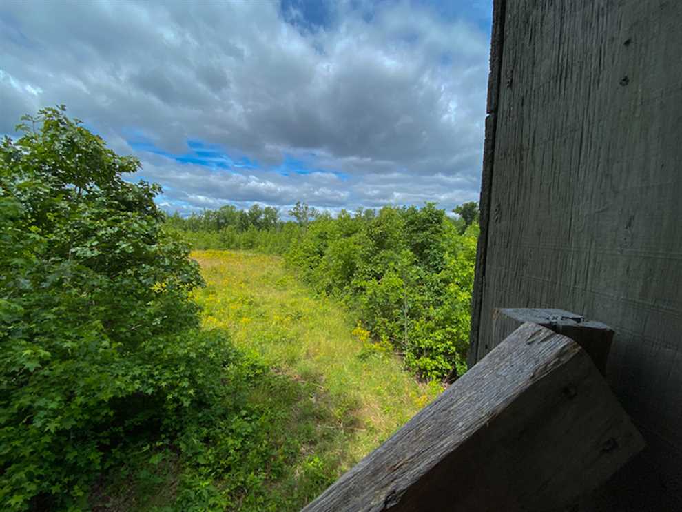 Land for sale to buy in 27574 zip code