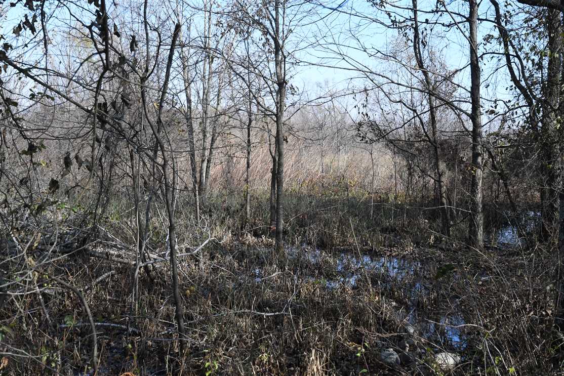 property for sale on The Land Market