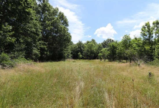 5 Acres of Land for Sale in prairie County Arkansas