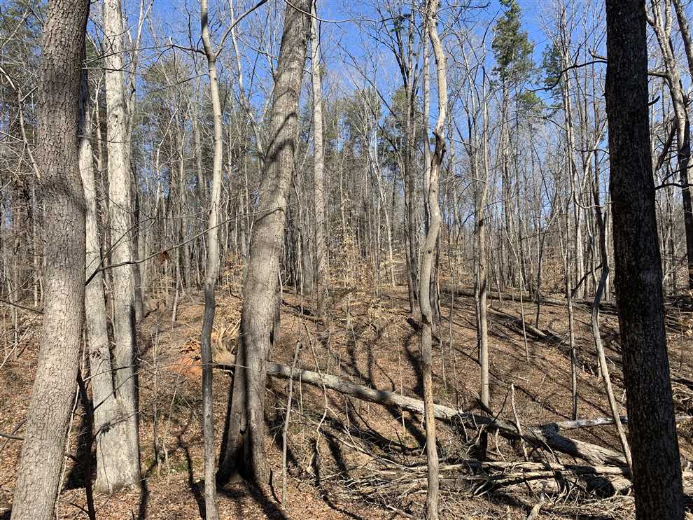 20.6 Acres of Land for sale in guilford County, North Carolina