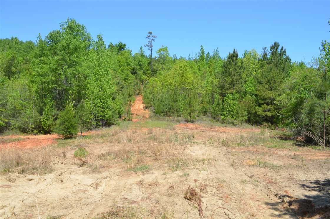 365 Acres of Recreational land for sale in Prattville, autauga County, Alabama