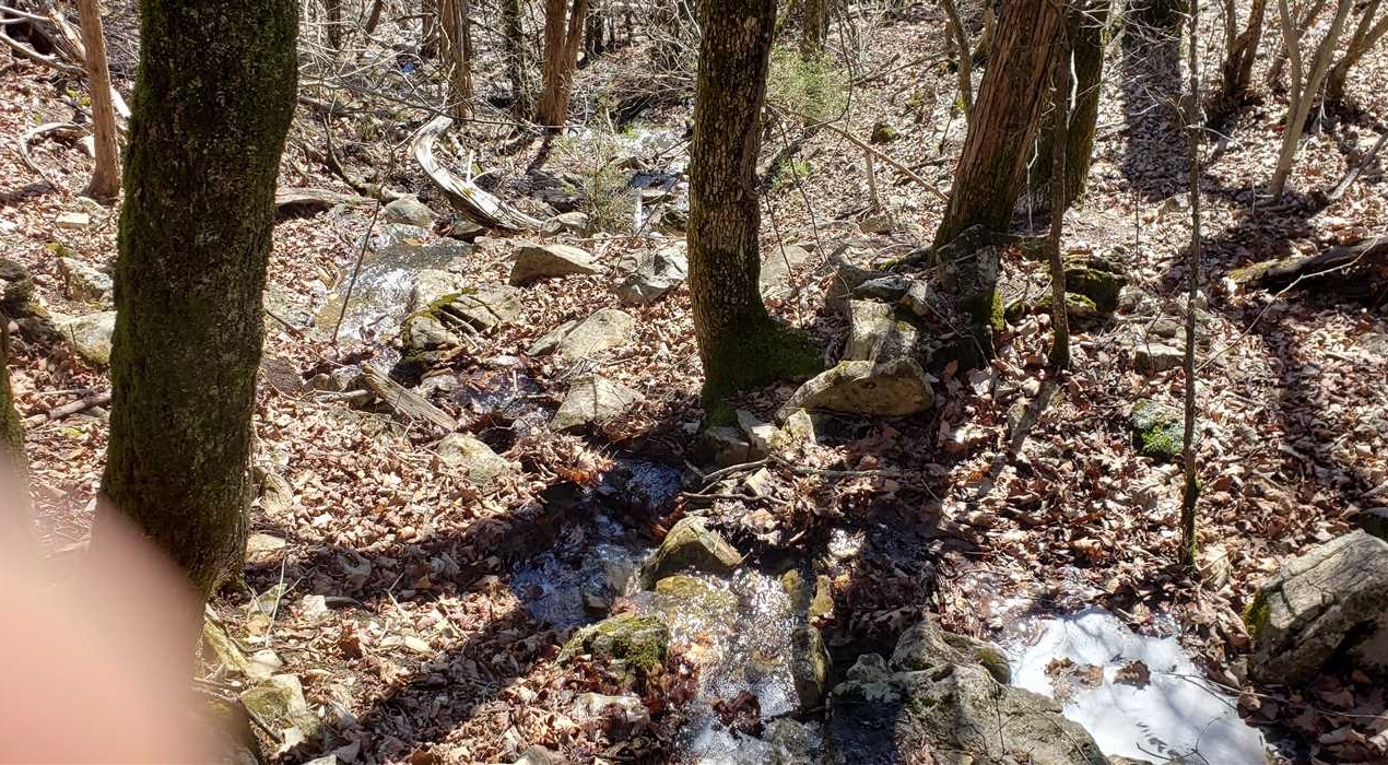 forsyth land available for purchase