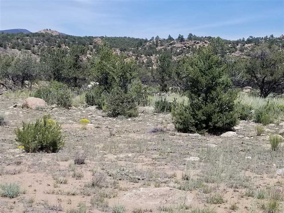 chaffee County, Colorado property for sale