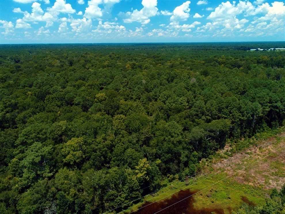 REDUCED! 17 Acres of Residential Land For Sale in Duplin County NC! Real estate listing