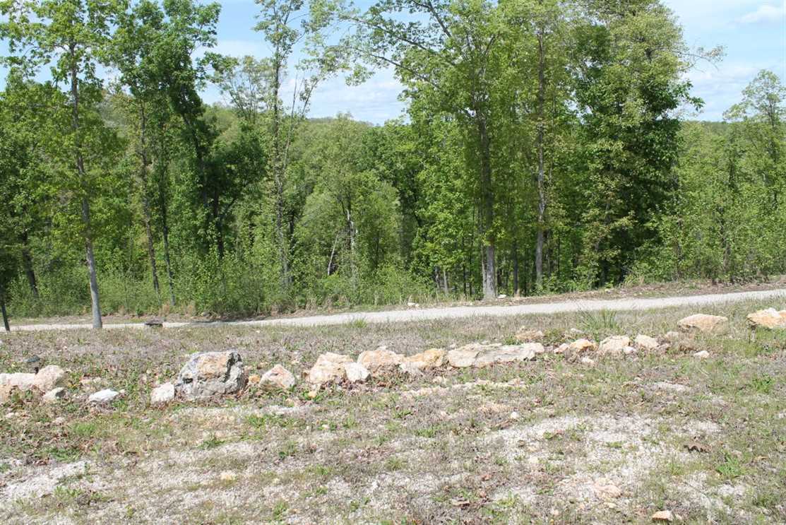 6 Acres of Commercial land for sale in Wappapello, wayne County, Missouri