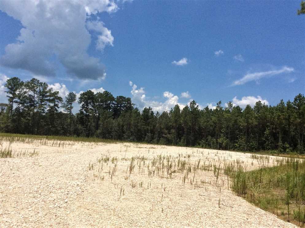 Brushy Creek Tract, Beauregard Parish, 40 Acres +/- Real estate listing