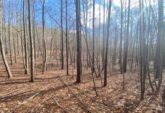 5 Acres of Land for Sale in marion County Tennessee