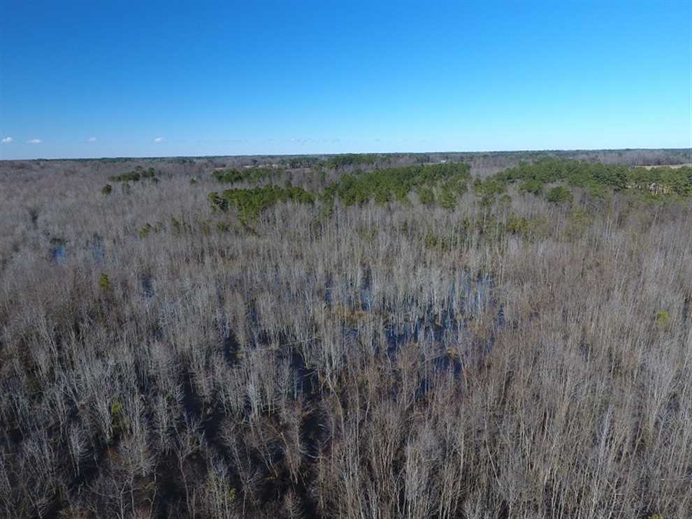 Land for sale at Mill Branch Rd.