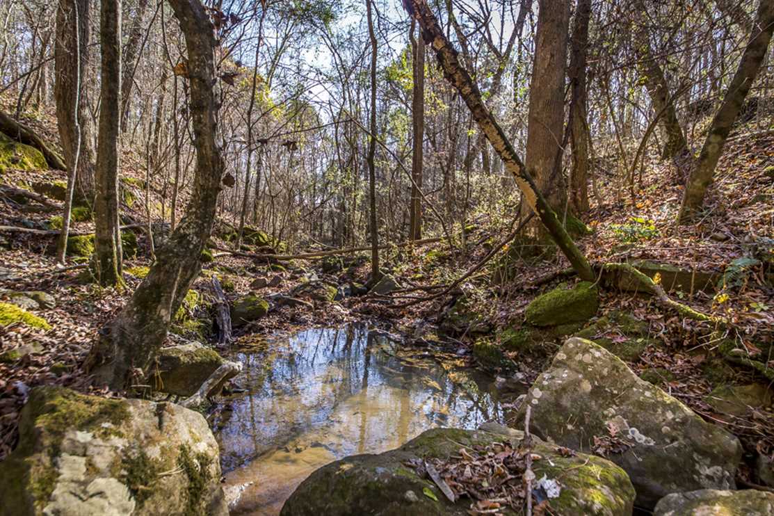 Hwy 65 N. Frontage Inside Clinton City Limits! Real estate listing