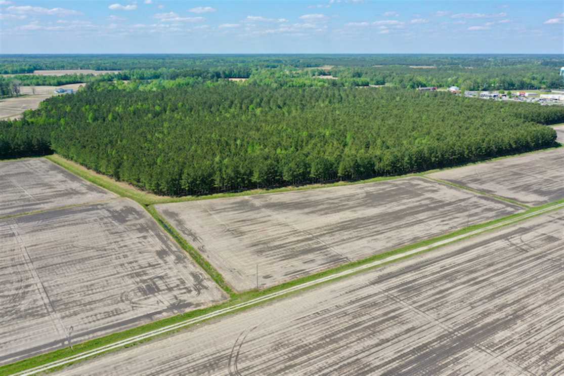 Farmland real estate available to buy