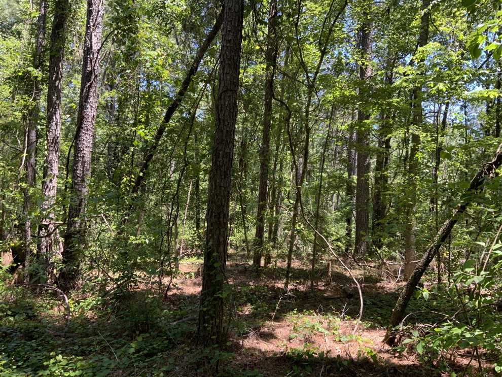 Recreational and   property for sale on The Land Market