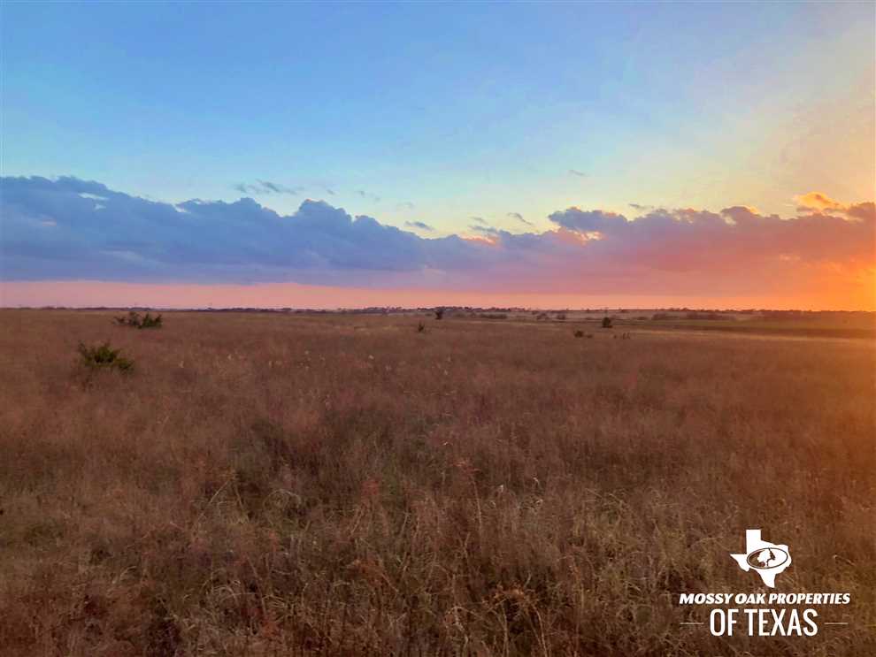 FABULOUS farm for sale near Era, TX!!! Real estate listing