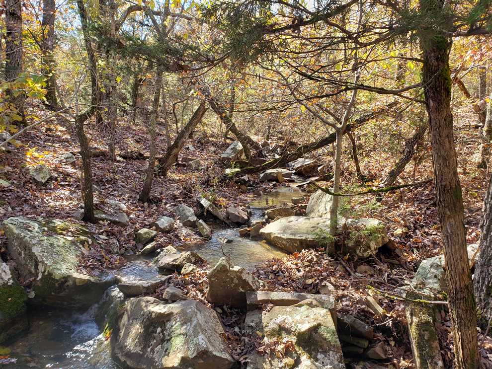 112.4 Acres of Recreational land for sale in Western Grove, newton County, Arkansas