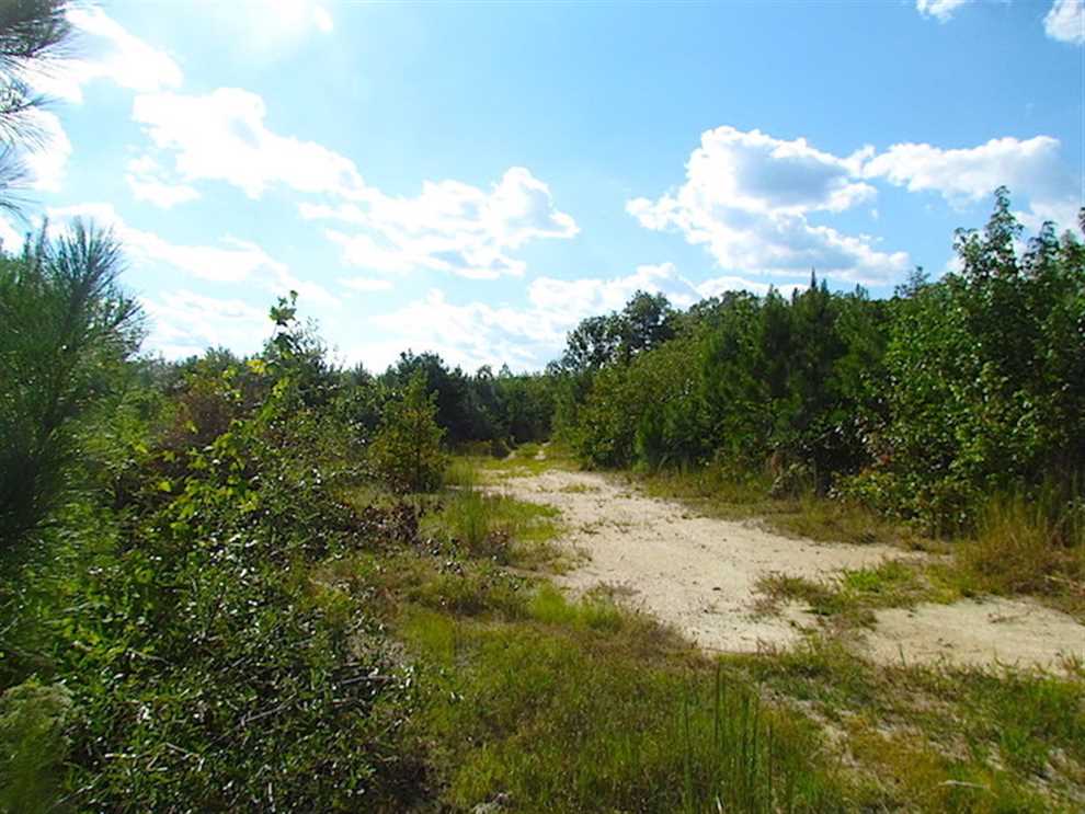 Residential and   property for sale on The Land Market