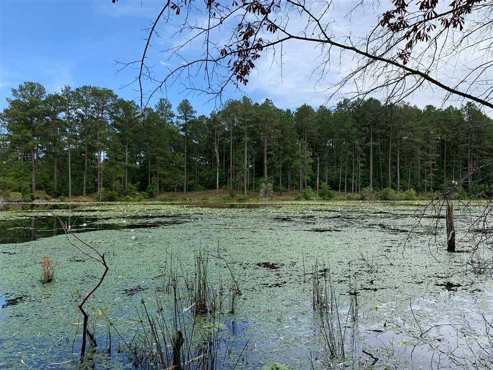 jackson County, Louisiana property for sale