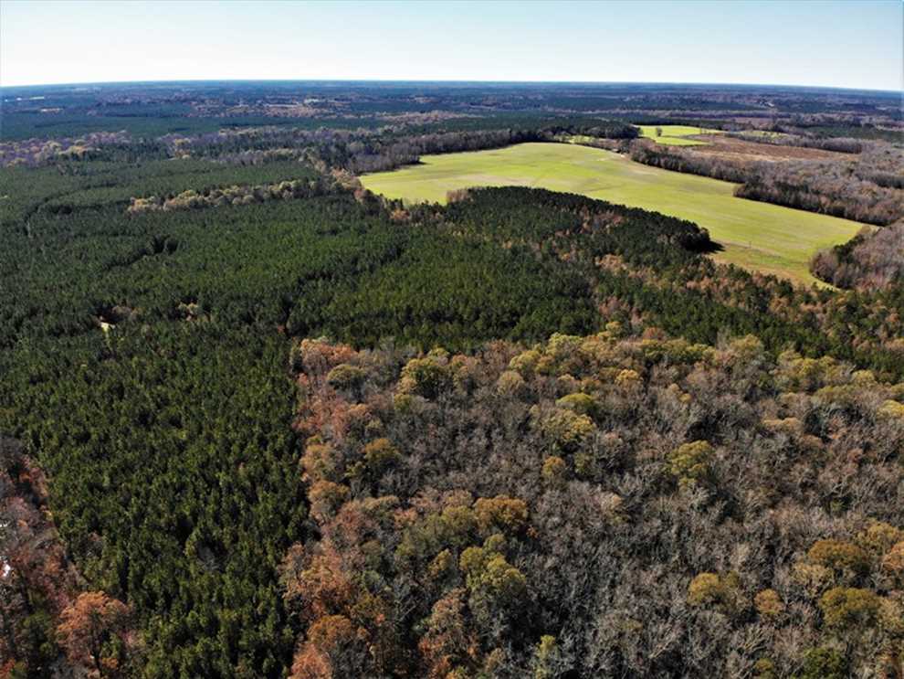 Land for sale at Off Champion Rd