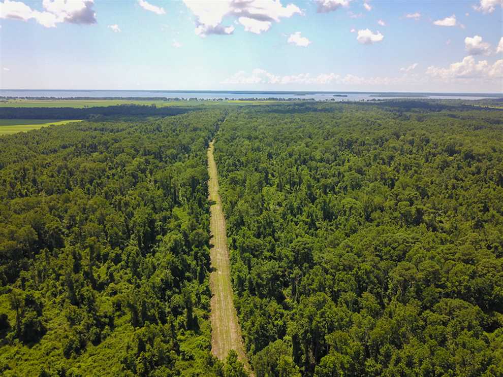 364 Acres of Recreational land for sale in Fairfield, hyde County, North Carolina