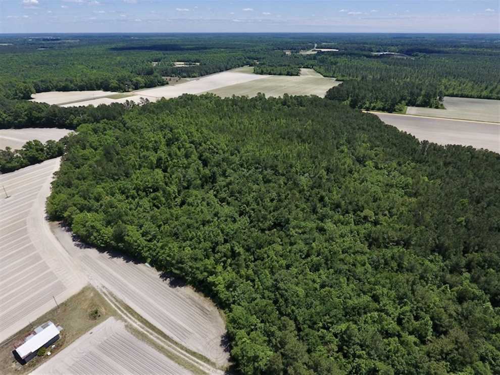 bladen County, North Carolina property for sale