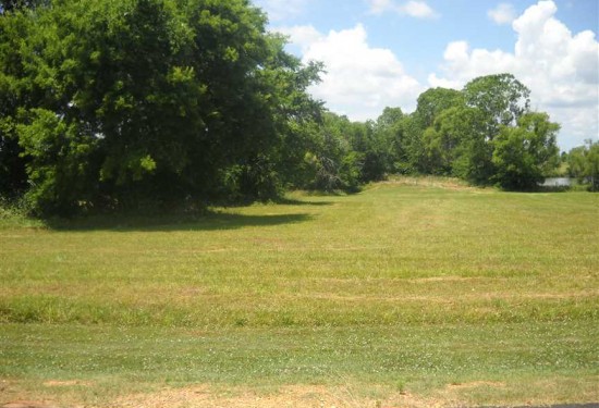 2.6 Acres of Land for Sale in lowndes County Alabama