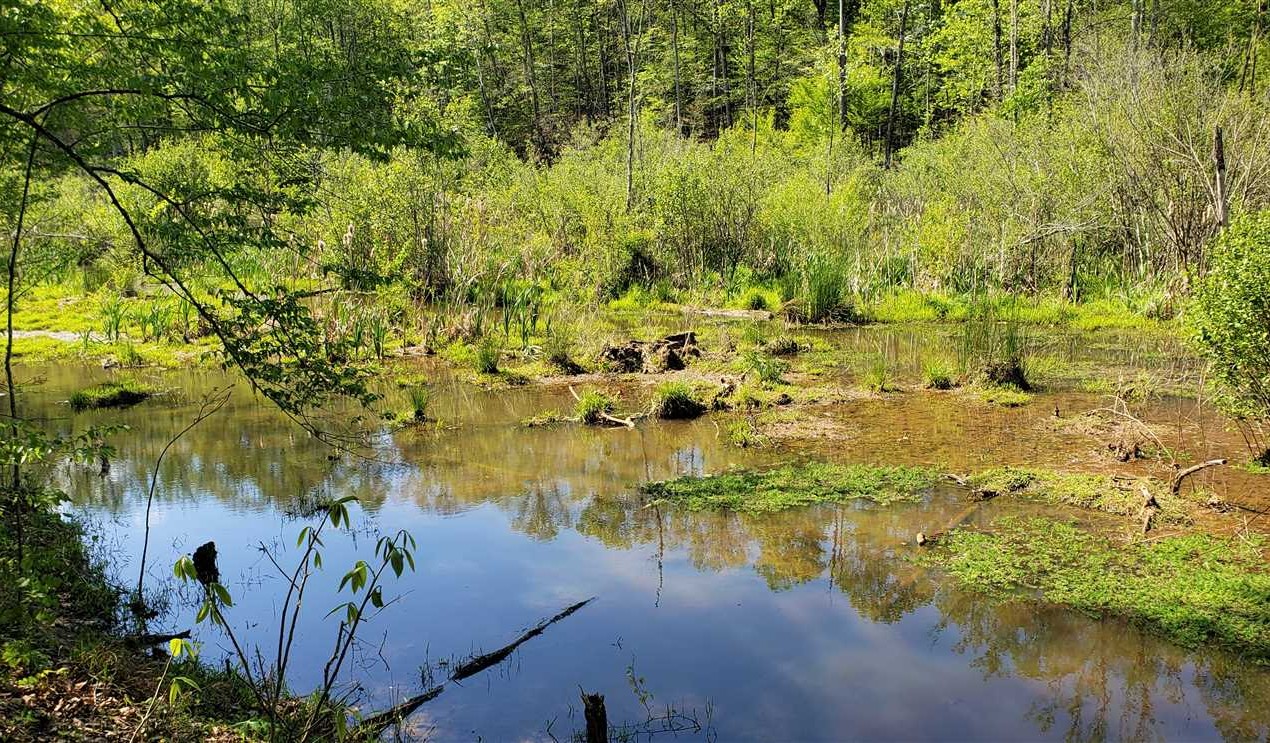 Property for sale at 00 Sugar Hollow Road
