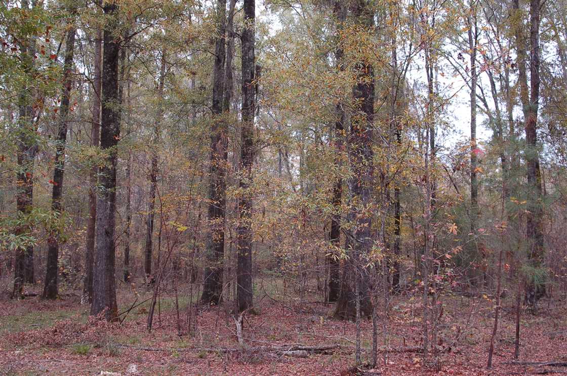 Houses and land for sale in Alabama