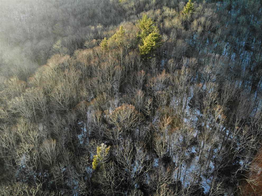153.82 Acres of Residential land for sale in Vilas, watauga County, North Carolina