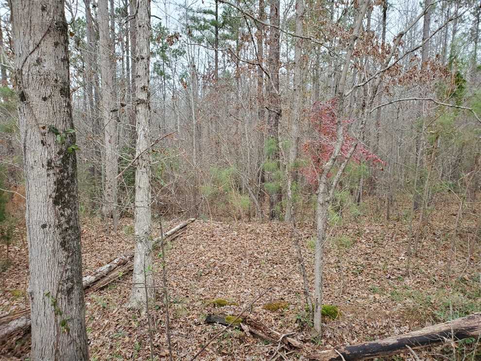 Property for sale at W Zion Church Rd.