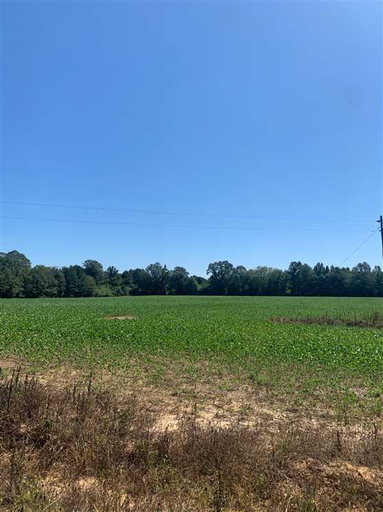 Land for sale to buy in 38858 zip code