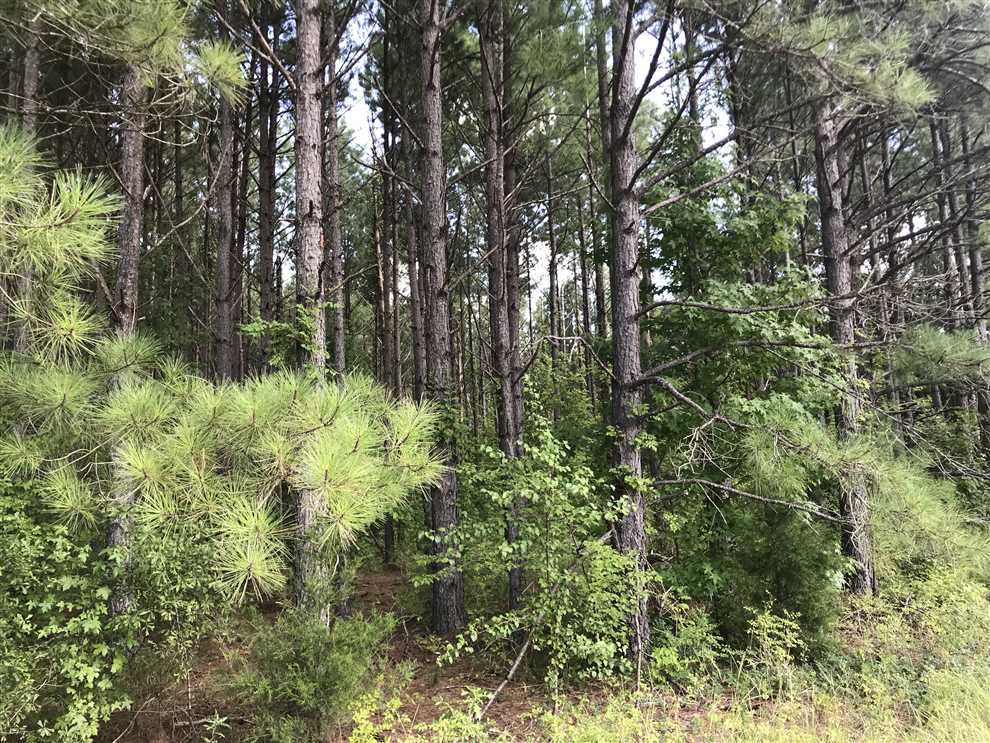 Land for sale at Jemison Mill Road