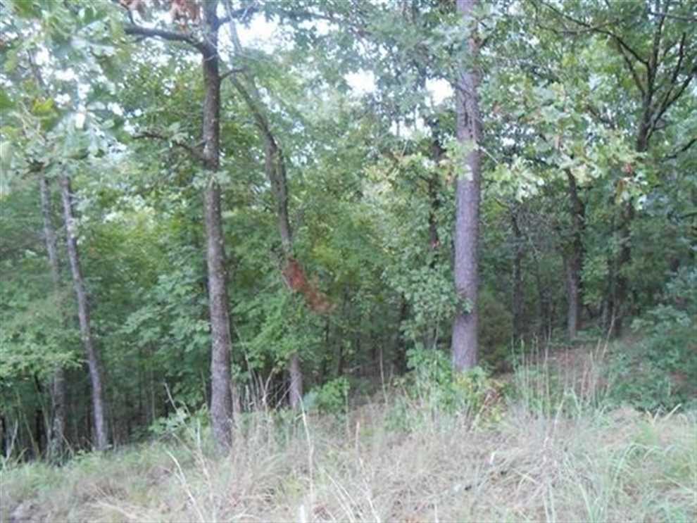 10 Acres of Land for sale in pushmataha County, Oklahoma
