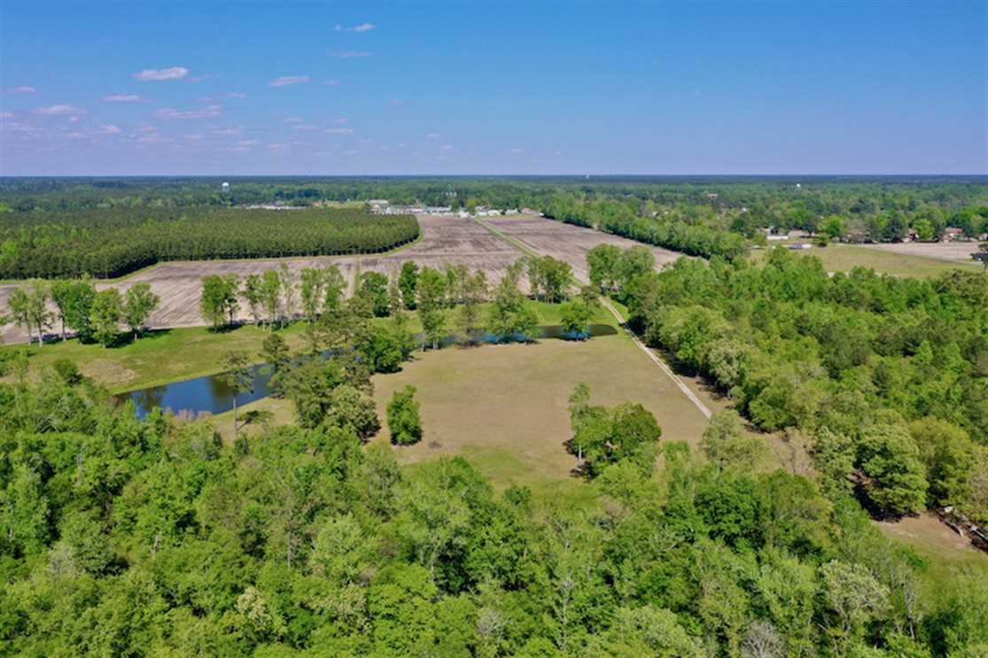 26 ac Waterfront Homesite for Sale in Craven County NC! Real estate listing