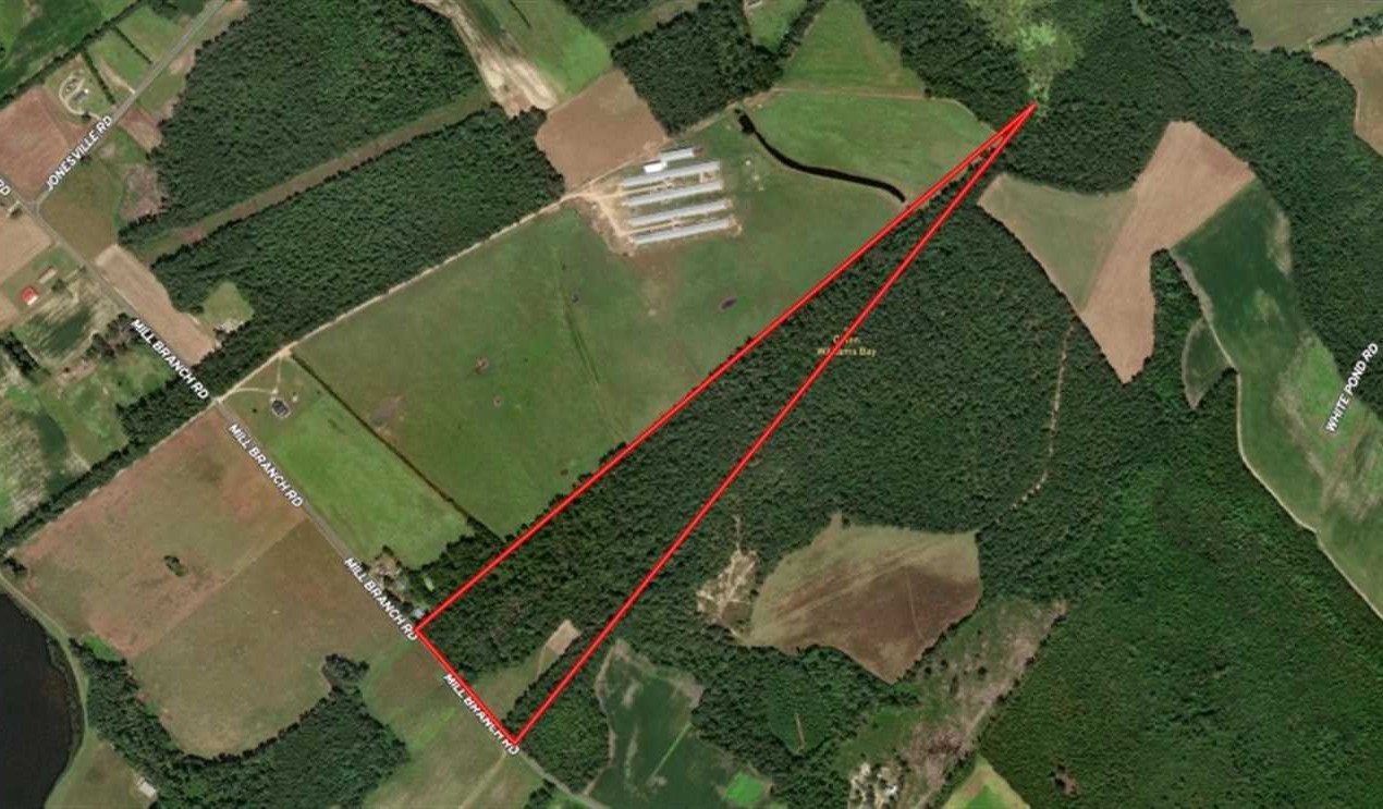 40 Acres of Land for Sale in robeson County North Carolina