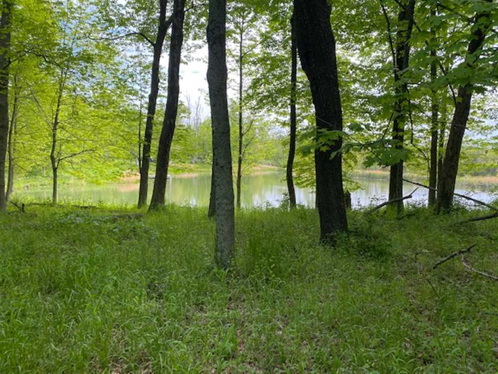 141 Acres of Land for Sale in ohio County, Indiana