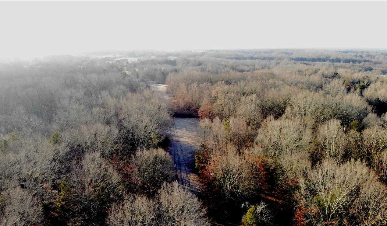 131 Acres of Farmland land for sale in West Point, clay County, Mississippi