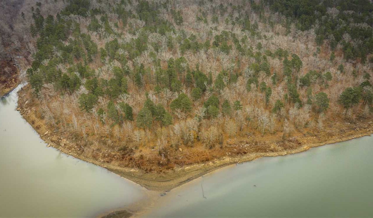 67.74 Acres of Residential land for sale in Edgemont, cleburne County, Arkansas