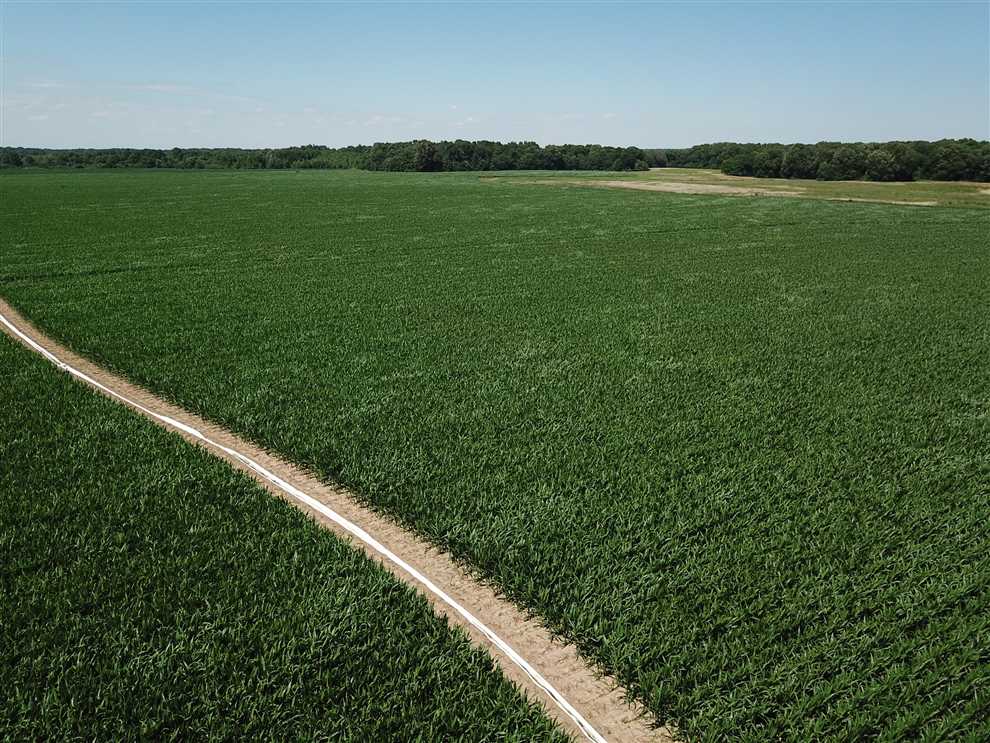 Land for sale at Padgett Levee Road