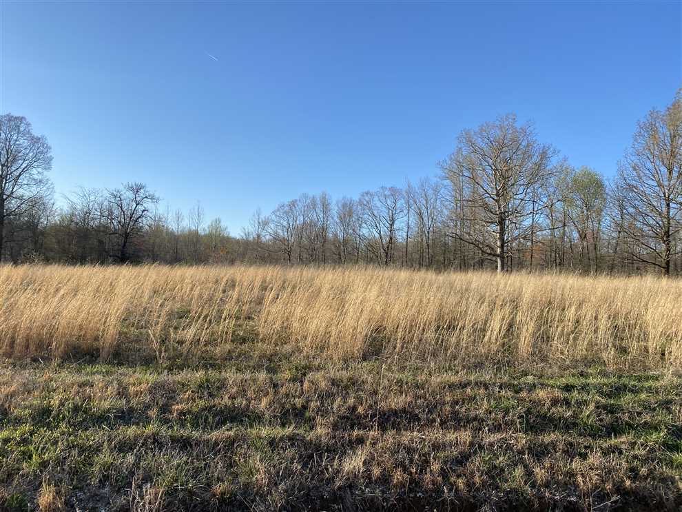 5.17 acre lot minutes from Eagle Bay Marina and Kentucky Lake! Real estate listing