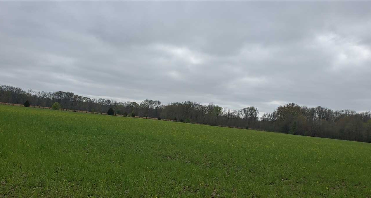 130 Acres of Land for sale in white County, Arkansas