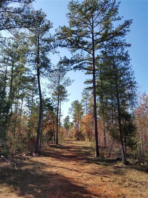 Houses and land for sale in South Carolina