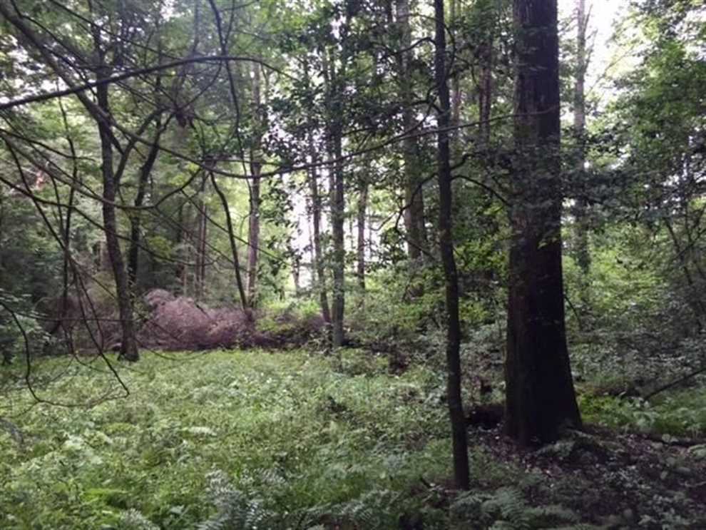 marion County, Tennessee property for sale
