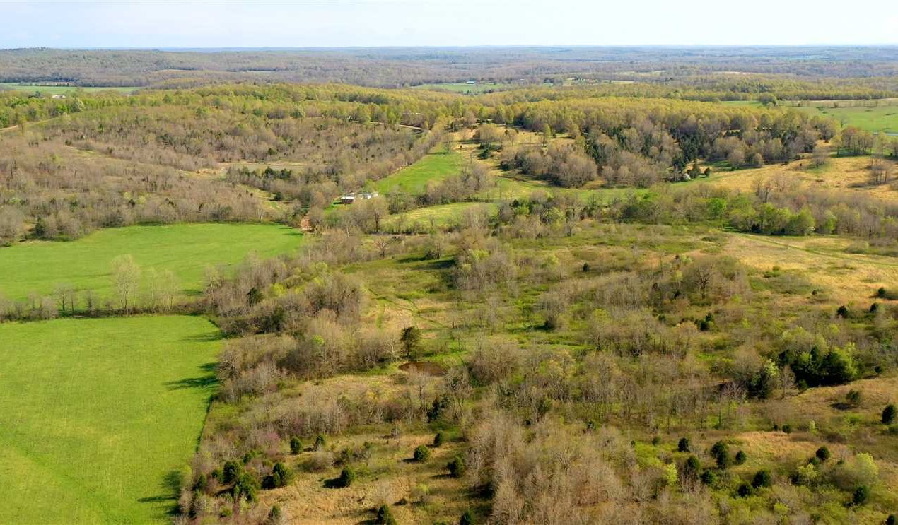 Timberland real estate available to buy